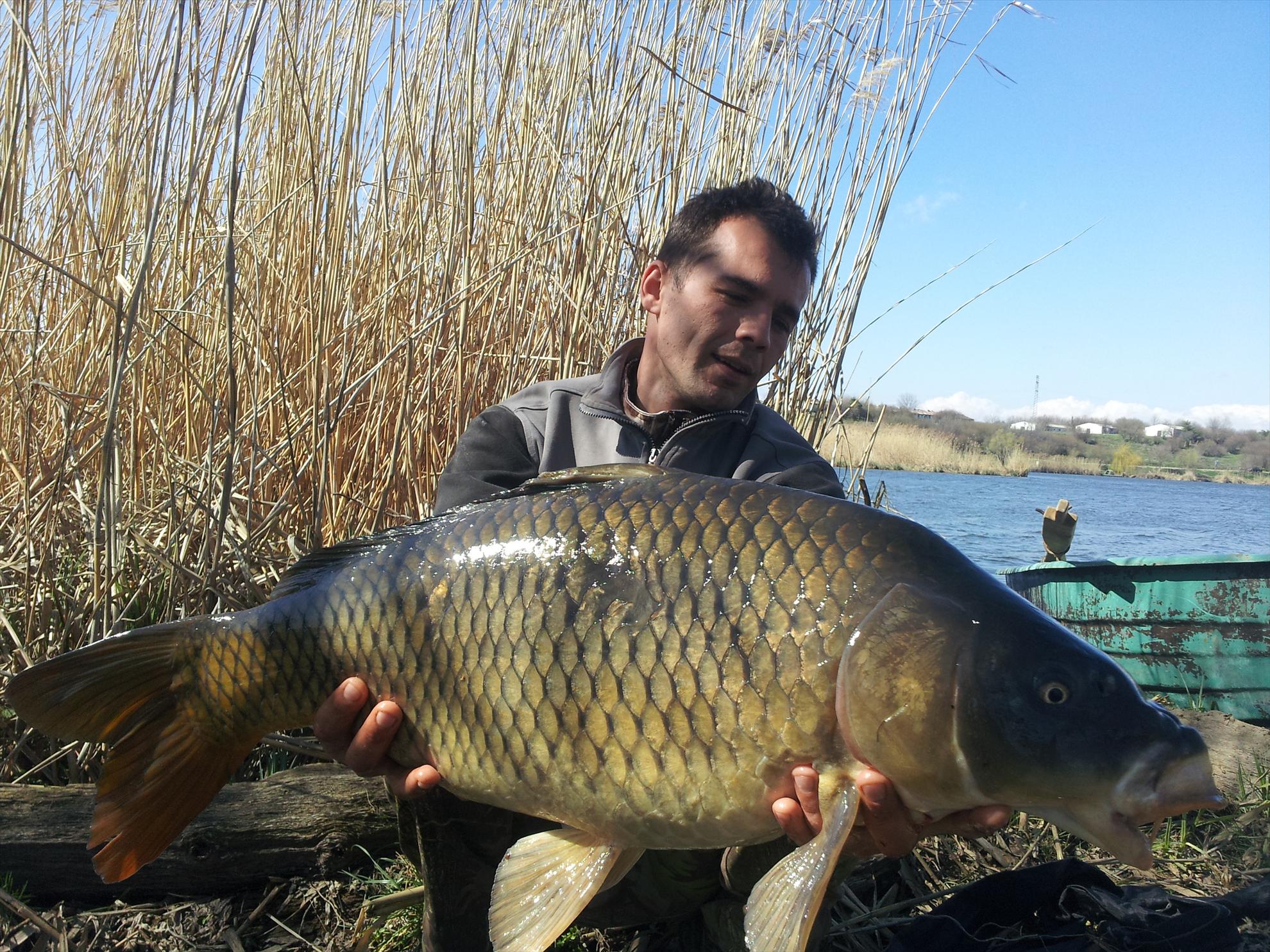 tancabesti  5-6 aprilie 2013 - 20130406151410.jpg